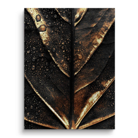 BOUGAINE TONKA Cuadro sobre Lienzo
