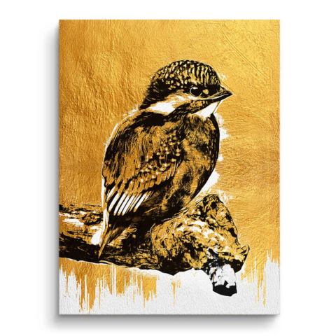 Eisvogel Leinwandbild