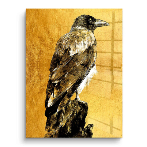 Pintura de Águila PVC Brillante