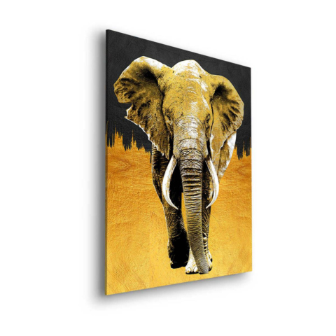 Elefante Arte Cuadro sobre Dibond Mate
