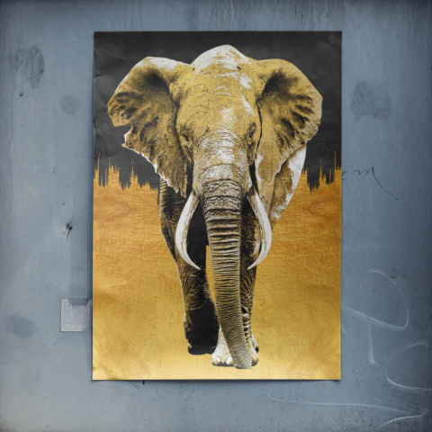 Elefante Póster