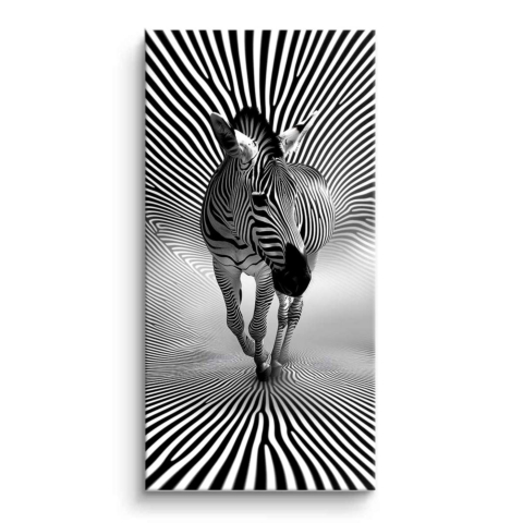 Zebra Illusion PVC Mat Art