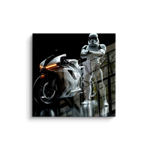 Stormtrooper Ride PVC Gloss Art