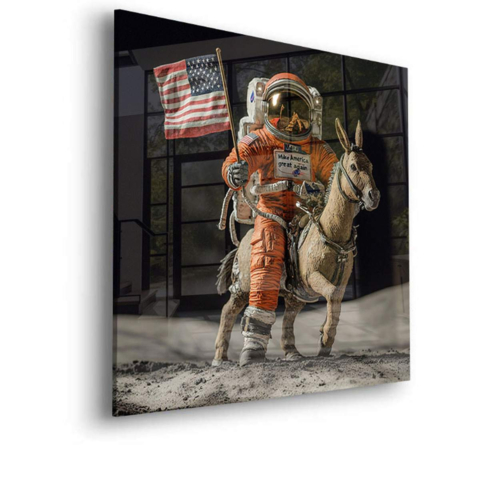 Aventuras del Astronauta en un Burro Vidrio Acrílico