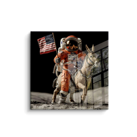 Astronaut on a Donkey Adventure PVC Gloss Art