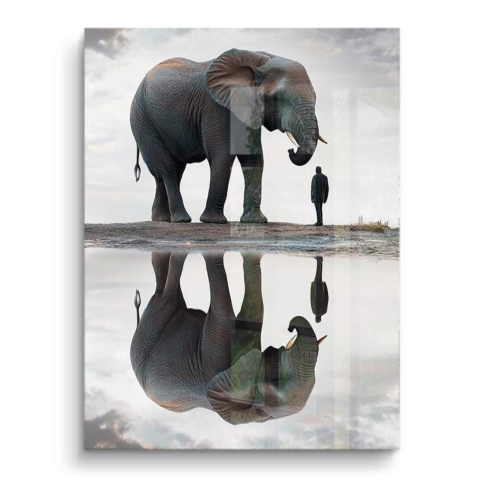 Reflet Majestueux PVC Brillant