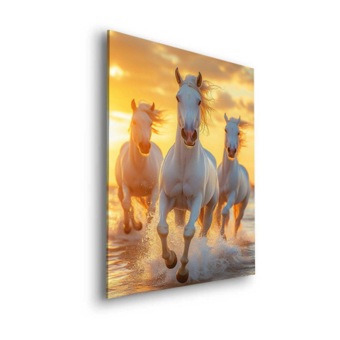Wspaniały Galop Dibond Matowy