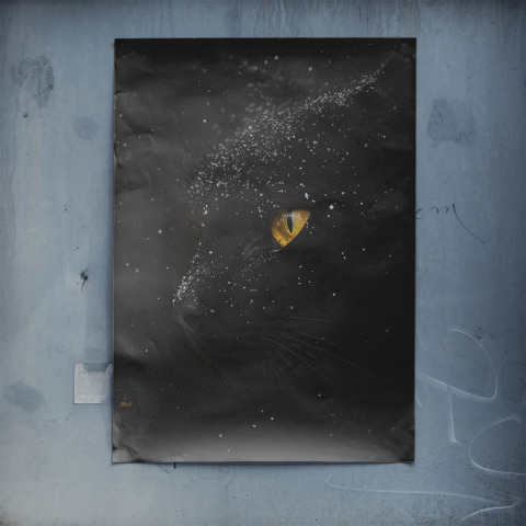 Mystische Nachtkatze Poster