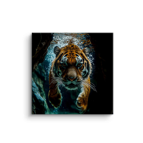Majestischer Tiger Tauch Leinwandbild