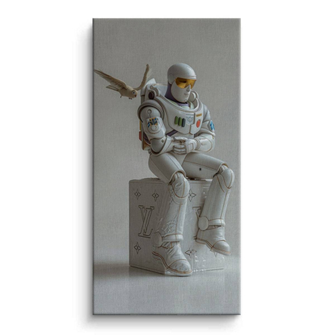 Compagnon Cosmique Toile