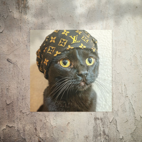 Couture de Gato Chic Póster