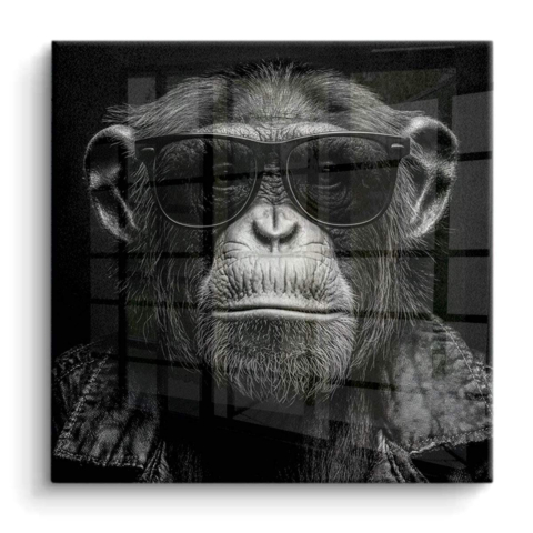Monkey with Sunglasses PVC Gloss Art