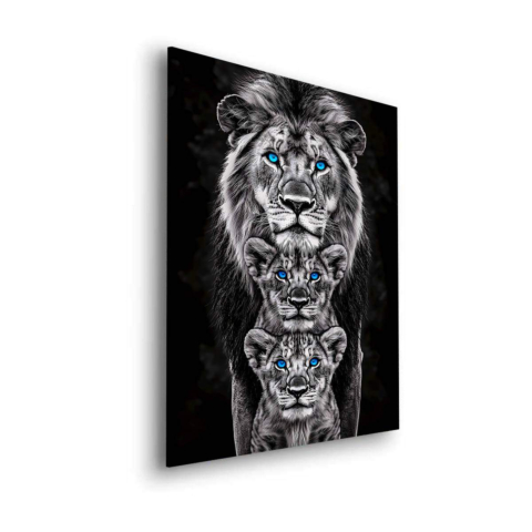 Lions Trio Dibond Matt Art