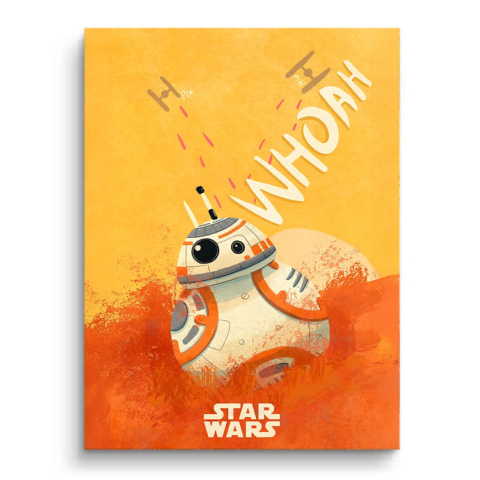 Wookiees Reise PVC Matt