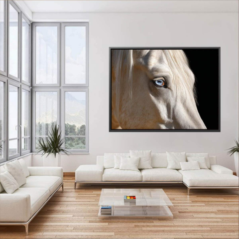 Caballo de ojos azules Lienzo