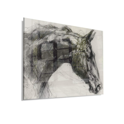 Retrato de Caballo en Vidrio Acrílico