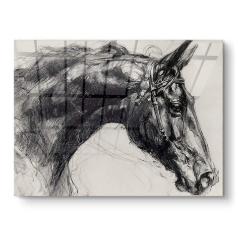 Horse Portrait PVC Gloss Art