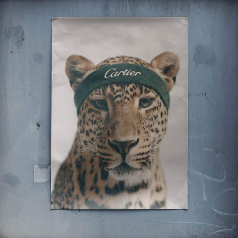 Cartier Poster