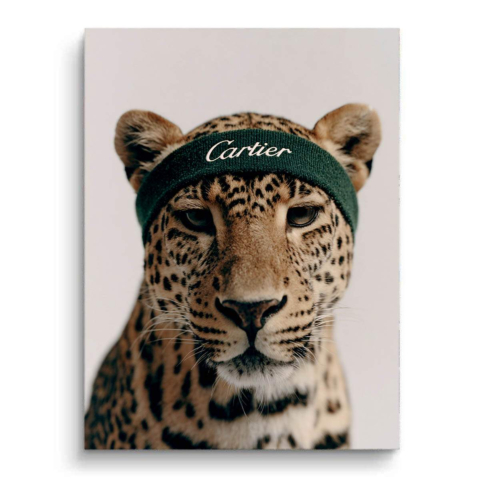 Cartier PVC Matt Kunstwerk