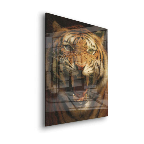 Brüllender Tiger Acrylglasbild