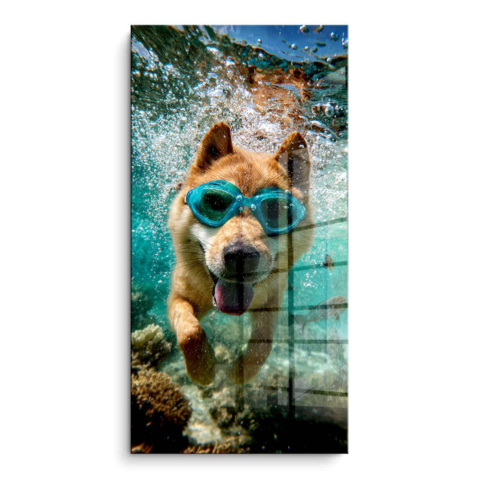 Dog Diving PVC Gloss Art