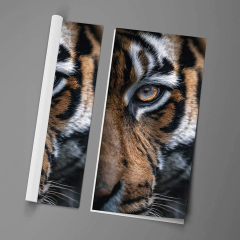 Ojo de Tigre Póster