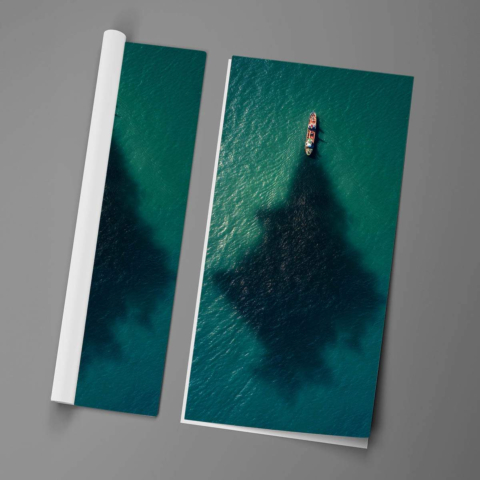 Ship Shadow Poster Art