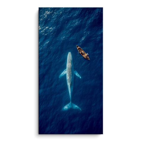 Avistamiento de Ballenas PVC Mate
