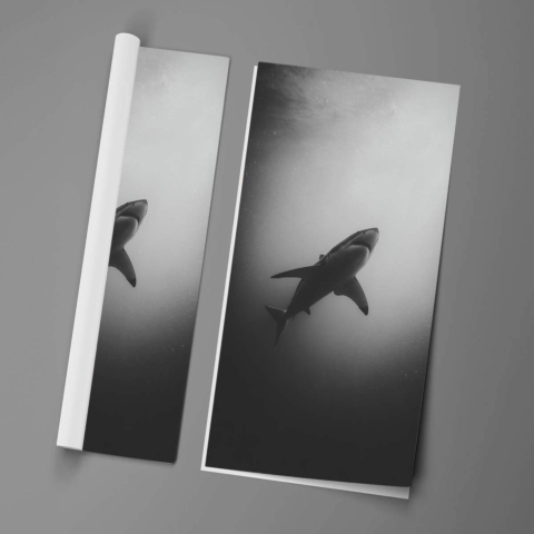 Shark Poster Art