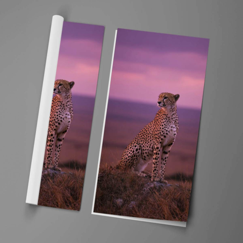 Gepard Plakat