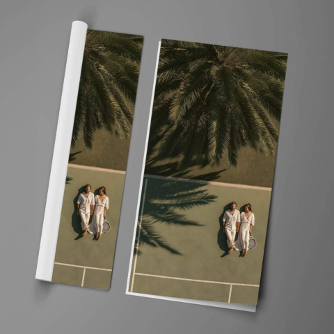 Sombras de Palmas Póster