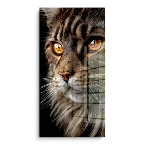 Close-up Cat PVC Gloss Art