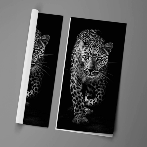 Leopard Poster Art
