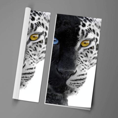 Snow Leopard Poster Art