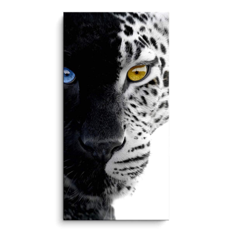 Schneeleopard PVC Matt Bild auf Dibond Matt