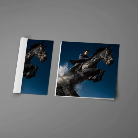 Ladung und Sprung Poster