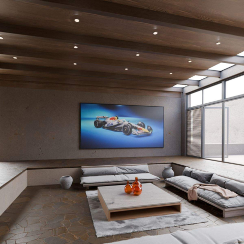 Formula 1 Car Canvas Art