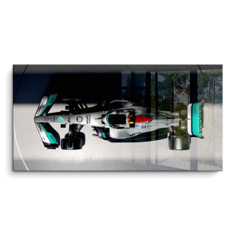 Alpine F1 Team Car PVC Gloss Art