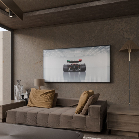 F1 Race Car Canvas Art