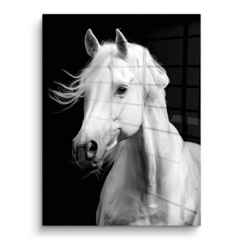 White Horse PVC Gloss Art