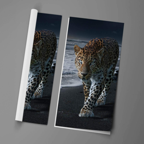Leopard Affiche
