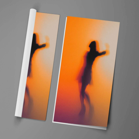 Silhouette Affiche