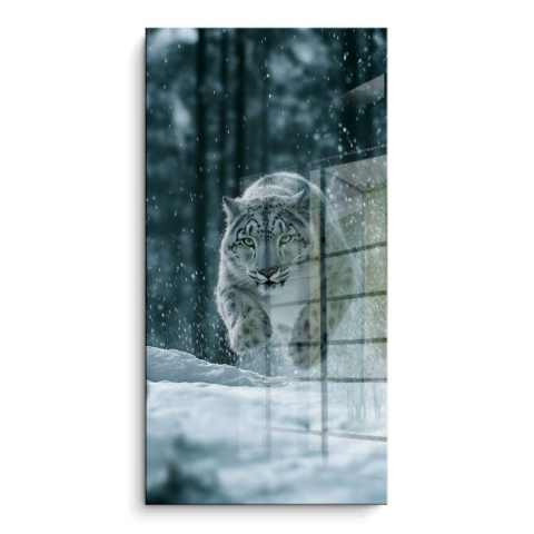 Snow Racer PVC Gloss Art