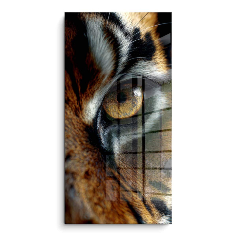 Tiger Eye PVC Gloss Art