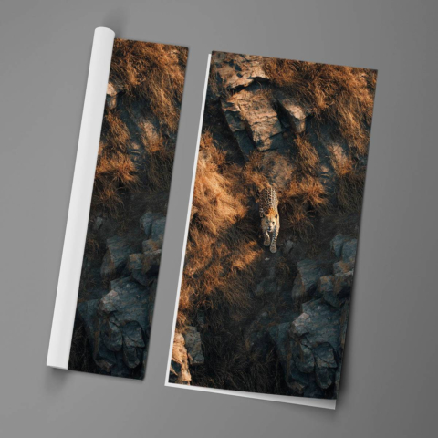 Leopard Affiche