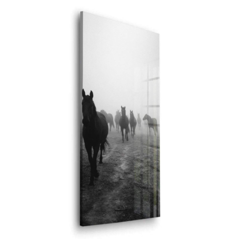 Chevaux dans le brouillard Verre Acrylique