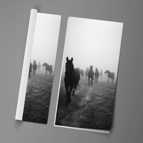 Chevaux dans le brouillard Affiche