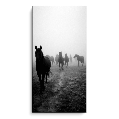 Horses in Fog PVC Matt Art