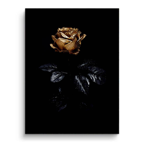 Rose d'or PVC Mat Affiche