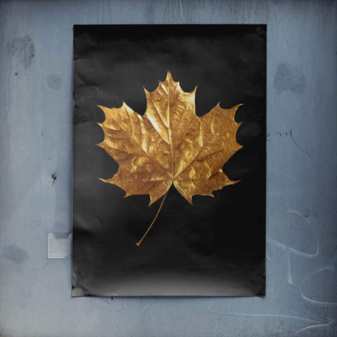 Hoja de Arce Dorada Póster